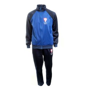 CONJUNTO AGASALHO MASCULINO PALMEIRAS