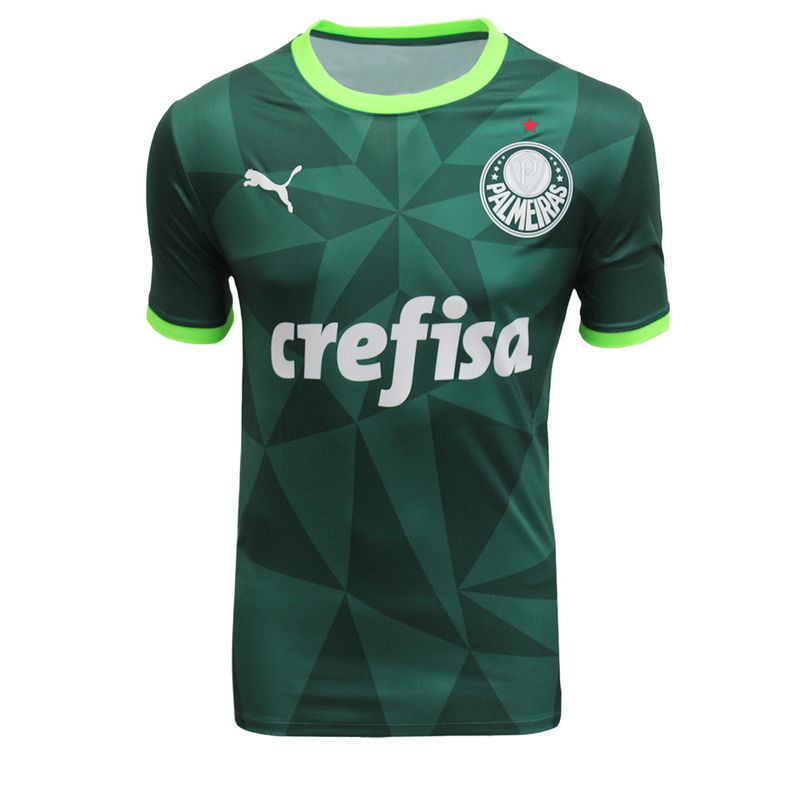 camiseta-masculina-puma-palmeiras-estadio-23-24-1