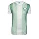 CAMISETA MASCULINA PALMEIRAS LISTRADA 0
